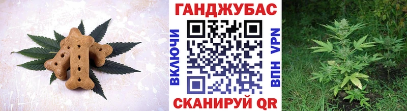 Canna-Cookies конопля Купить где Межгорье