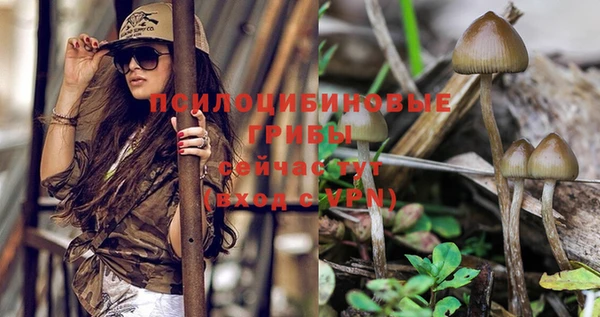 a pvp Белокуриха