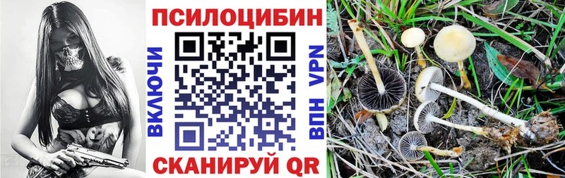 Купить  Межгорье  Псилоцибиновые грибы Magic Shrooms 